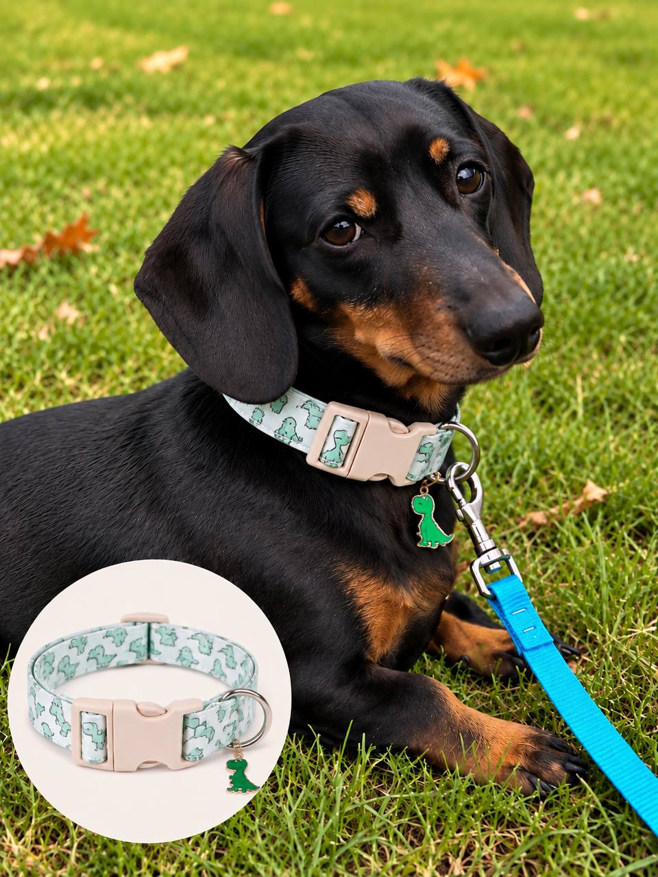 Dragon Print Dog Collar