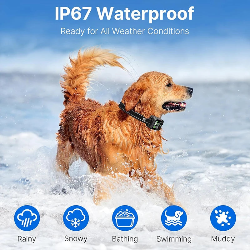 GPS Wireless Dog Fence & Training Collar