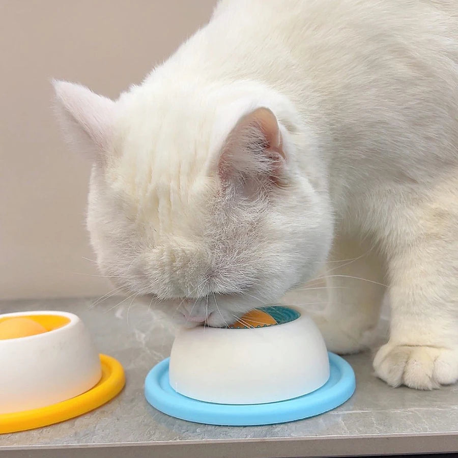 Treat-Dispensing Enrichment Toy