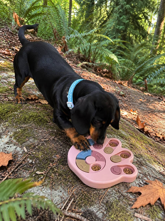 Interactive Dog Puzzle Feeder