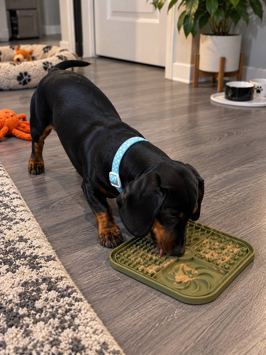 Dog Lick Mat