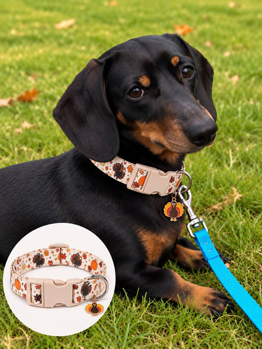 Thanksgiving Print Dog Collar