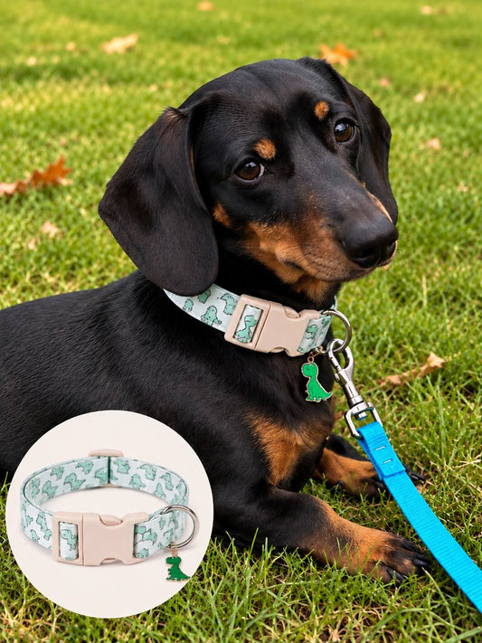 Dragon Print Dog Collar