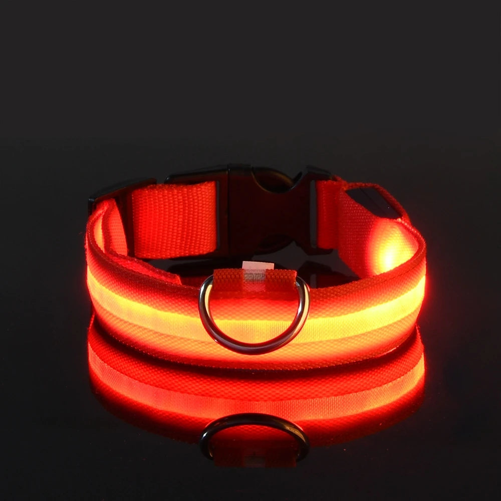 LED Safety Dog Collar and Leash