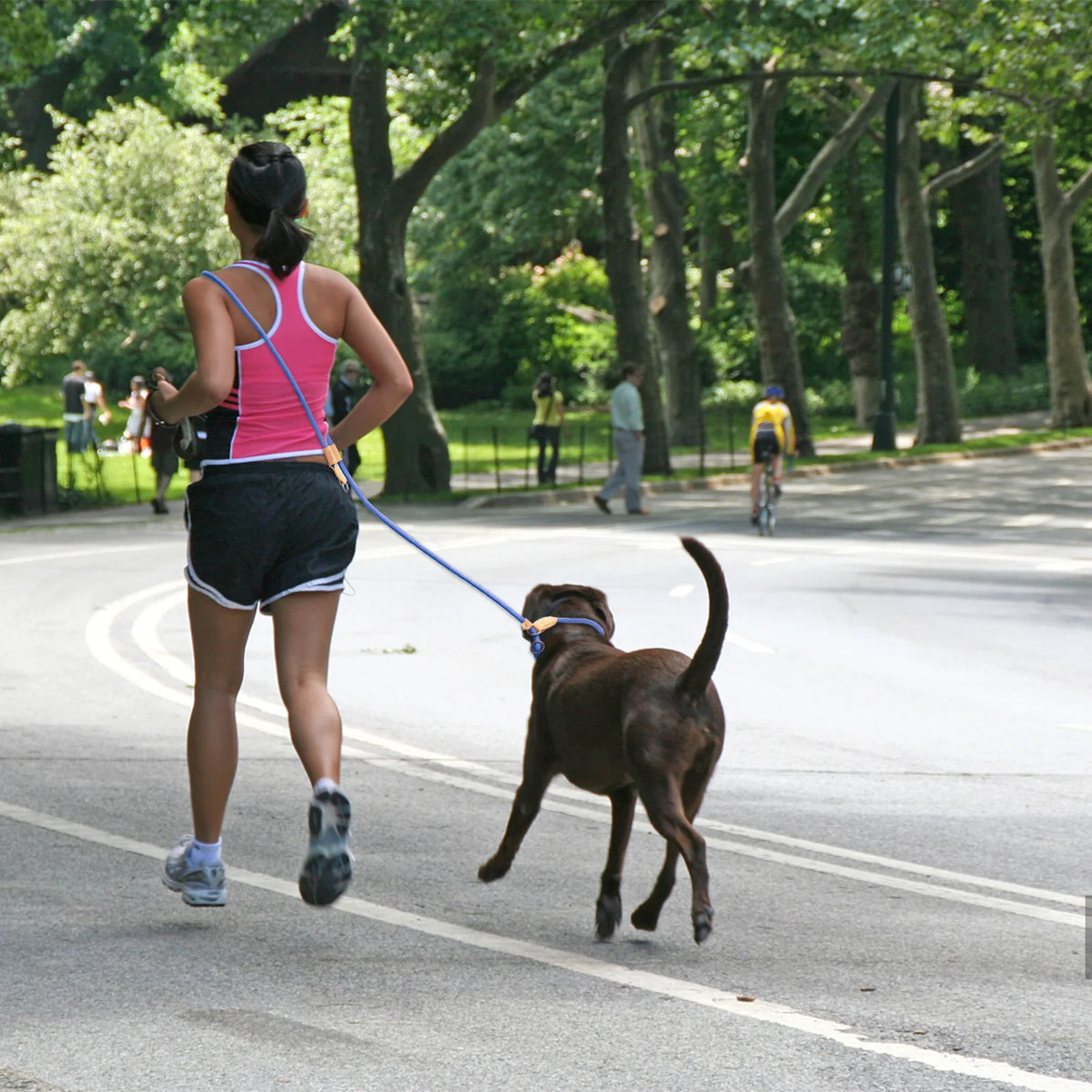 Adjustable Hands-Free Dog Leash (210/300 cm)