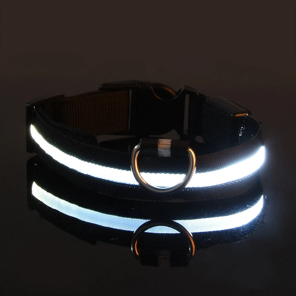 LED Safety Dog Collar and Leash