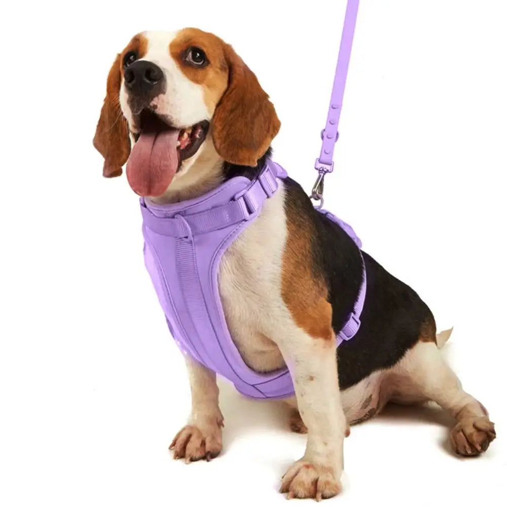 Pink Candy Color Dog Harness
