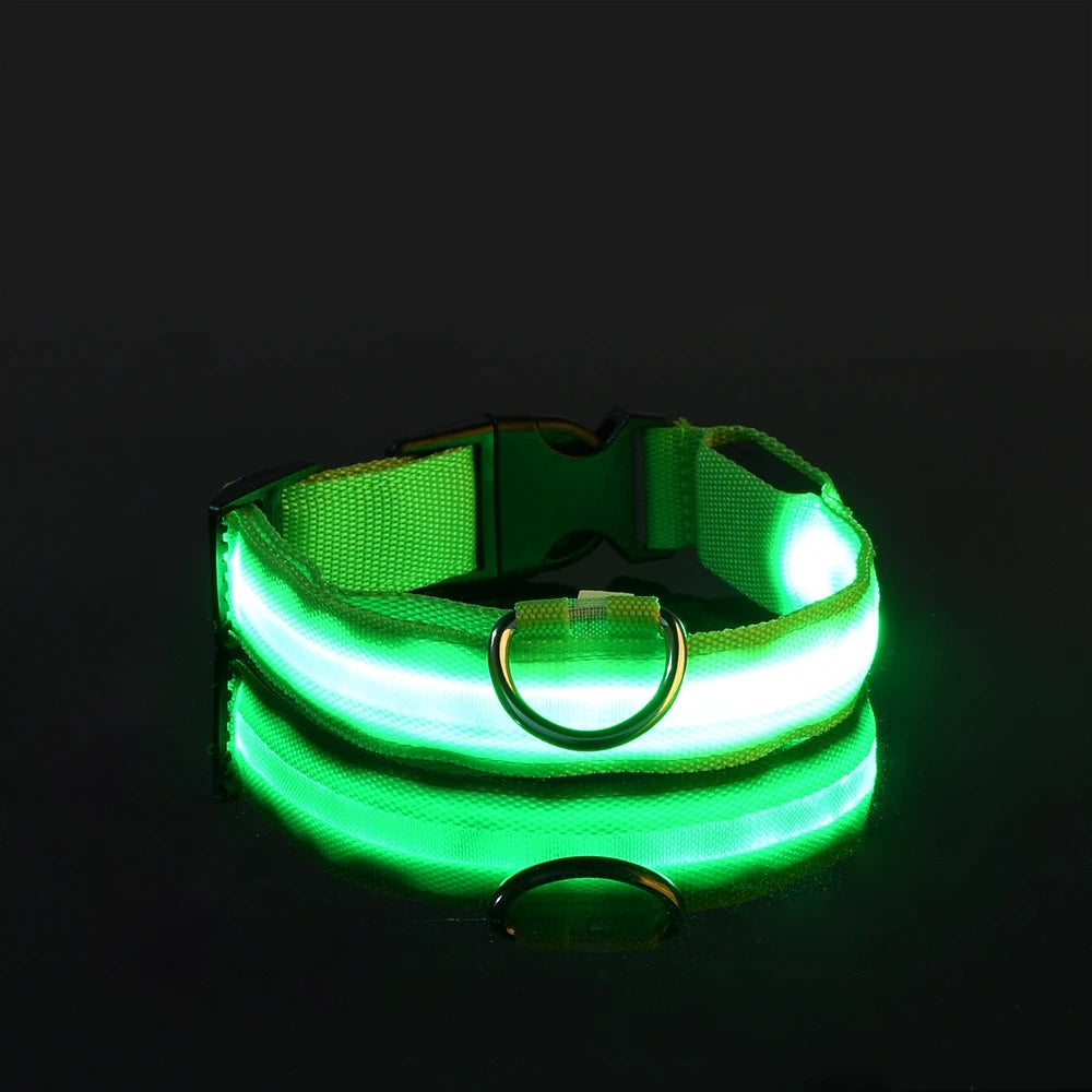 LED Safety Dog Collar and Leash
