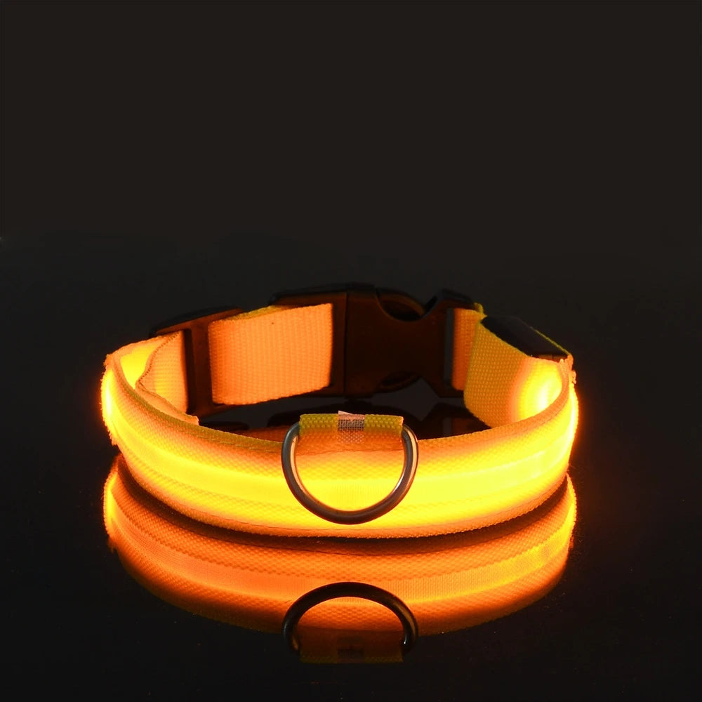 LED Safety Dog Collar and Leash