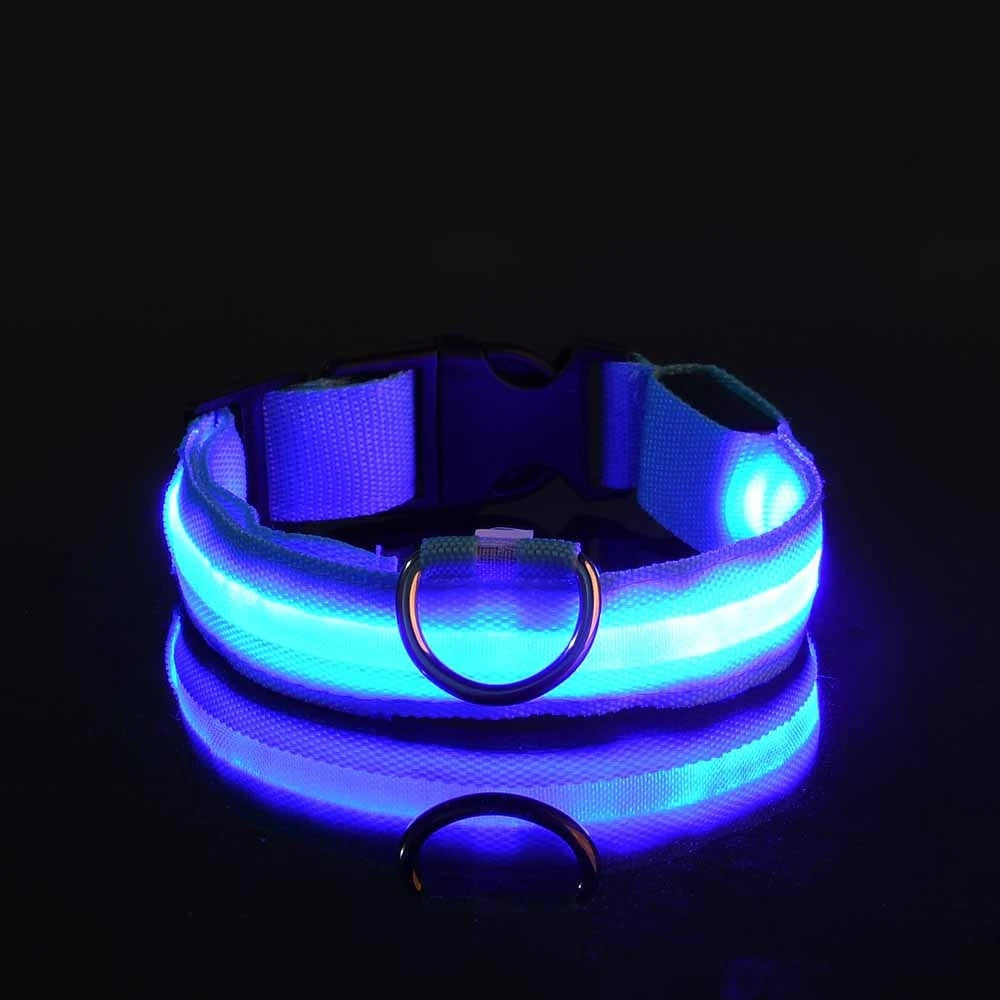 LED Safety Dog Collar and Leash