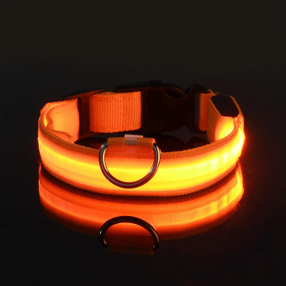 LED Safety Dog Collar and Leash