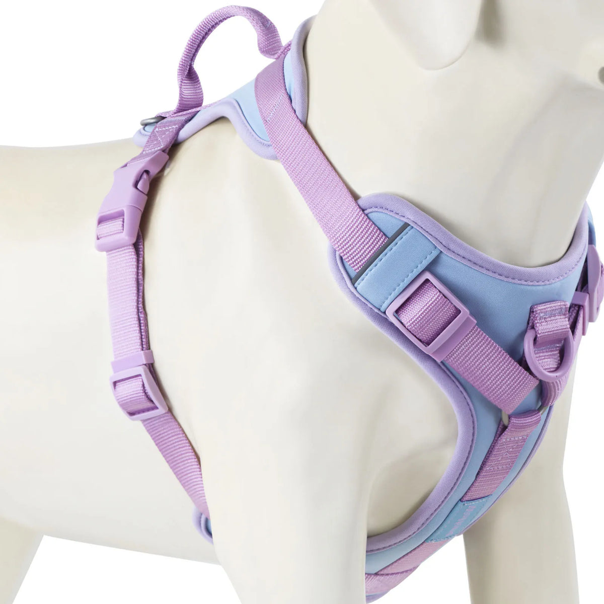Adjustable Colorblock Dog Harness