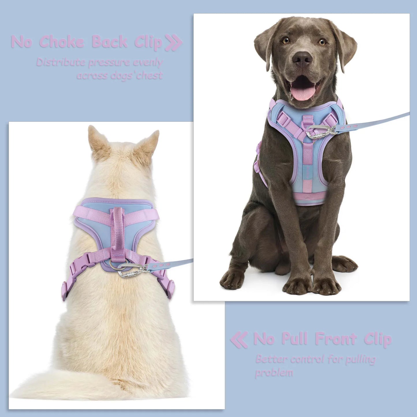 Adjustable Colorblock Dog Harness