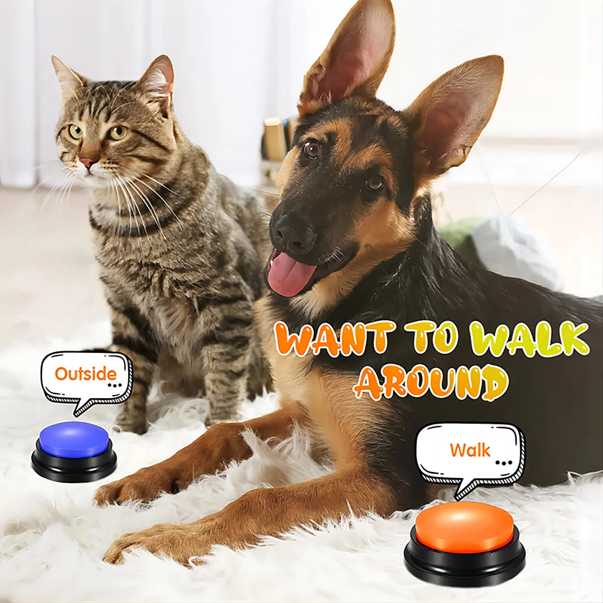 Recordable Training Buttons for Dogs