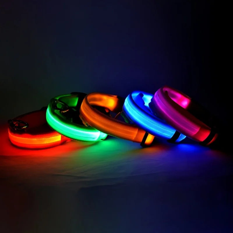 LED Safety Dog Collar and Leash