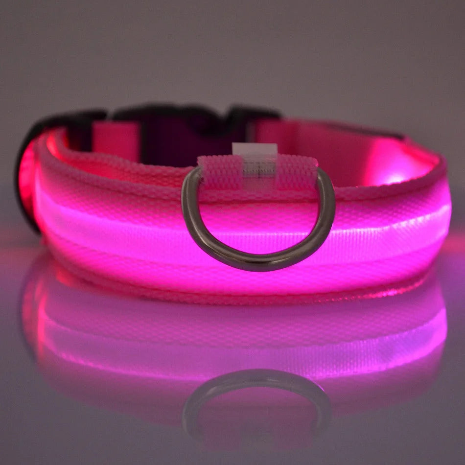 LED Safety Dog Collar and Leash