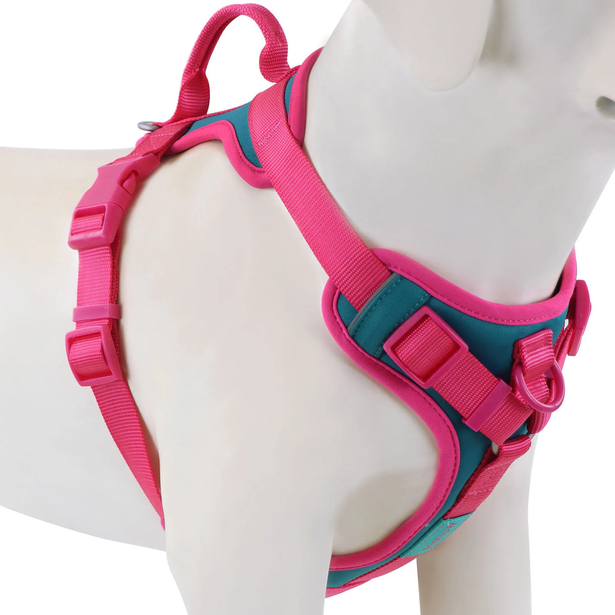 Adjustable Colorblock Dog Harness