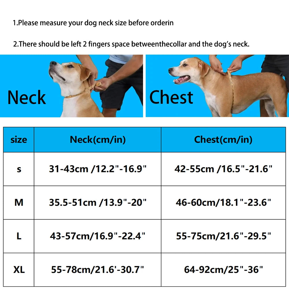 Adjustable Colorblock Dog Harness
