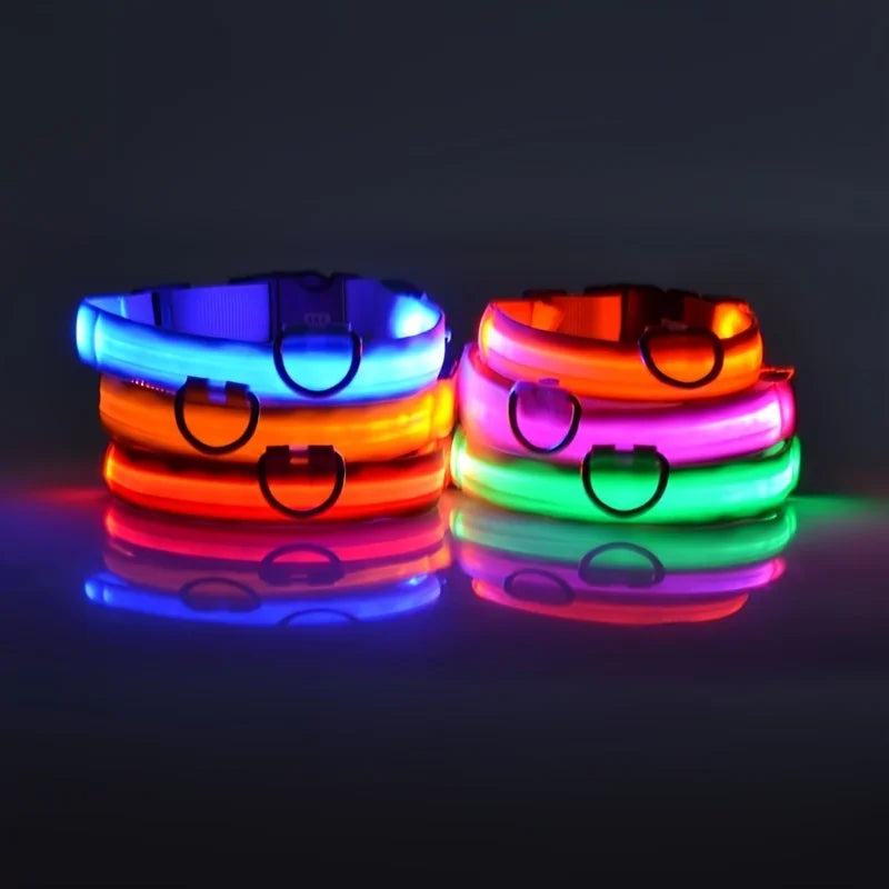 LED Safety Dog Collar and Leash