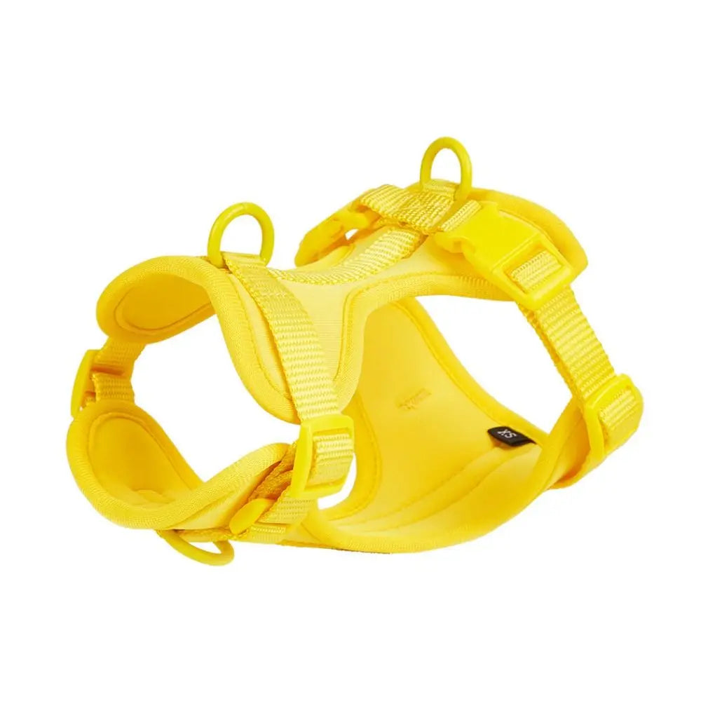Yellow Candy Color Dog Harness