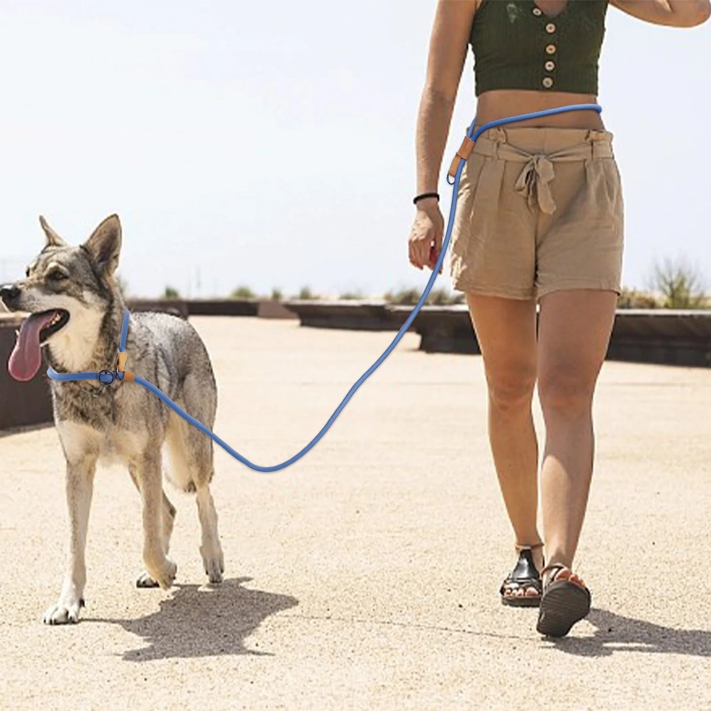 Adjustable Hands-Free Dog Leash (210/300 cm)