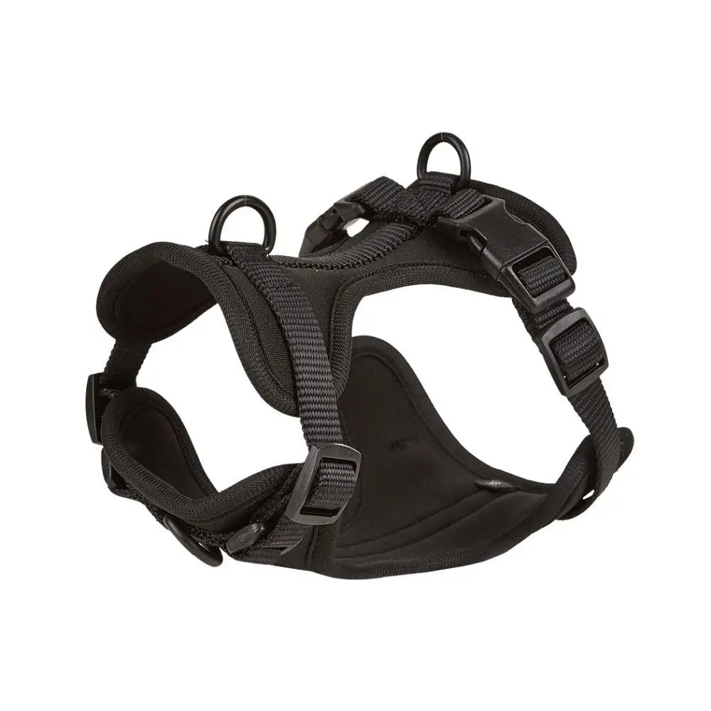 Candy Color Adjustable Dog Harness