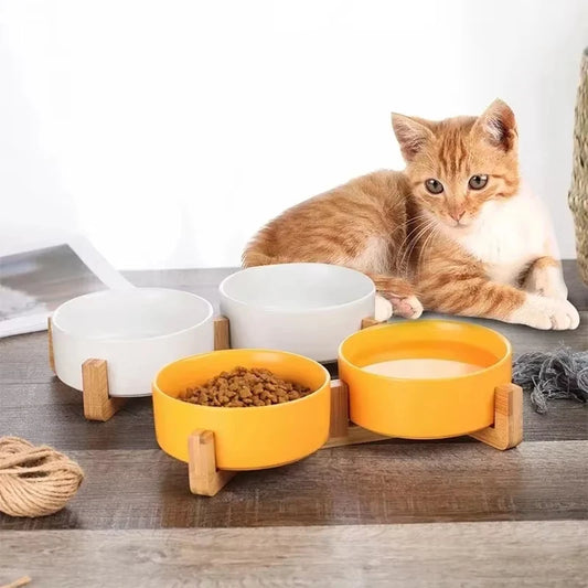 Cat behind yellow and white bowls on wooden stands