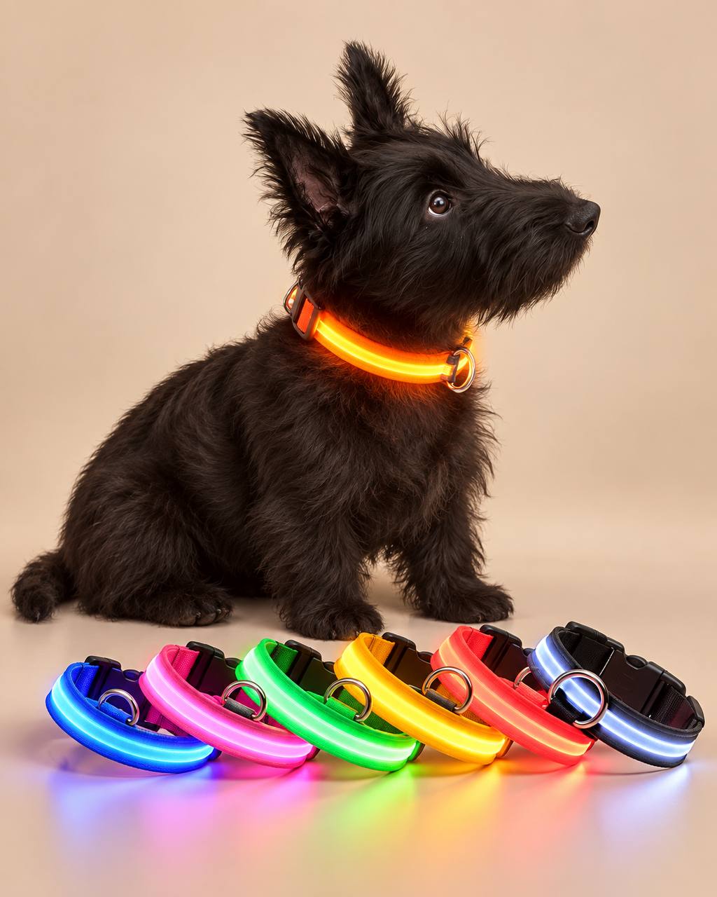 LED Safety Dog Collar and Leash