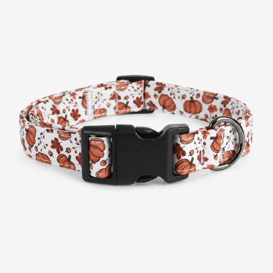 White Pumpkin Print Dog Collar